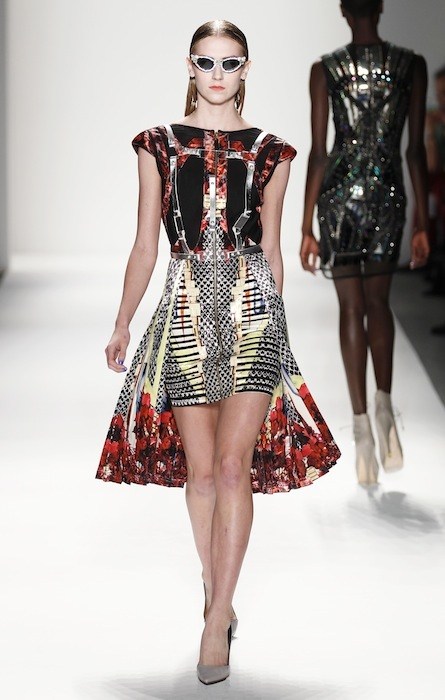 PEACOCK DNA: D FOR DETAILS