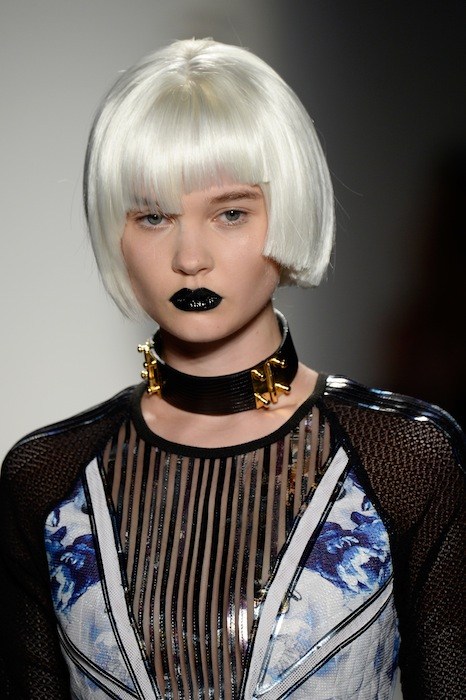 PEACOCK DNA: D FOR DETAILS