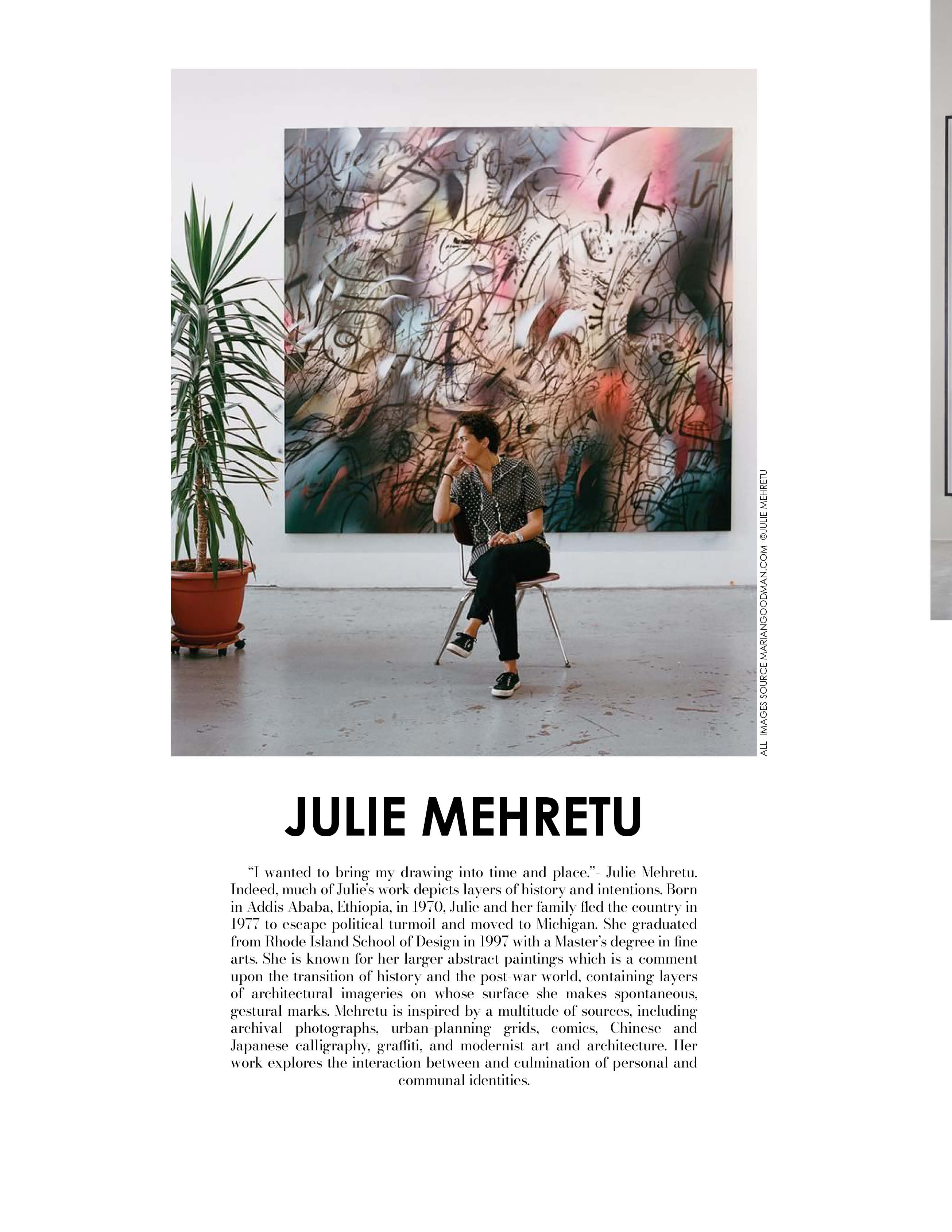 JULIE MEHRETU