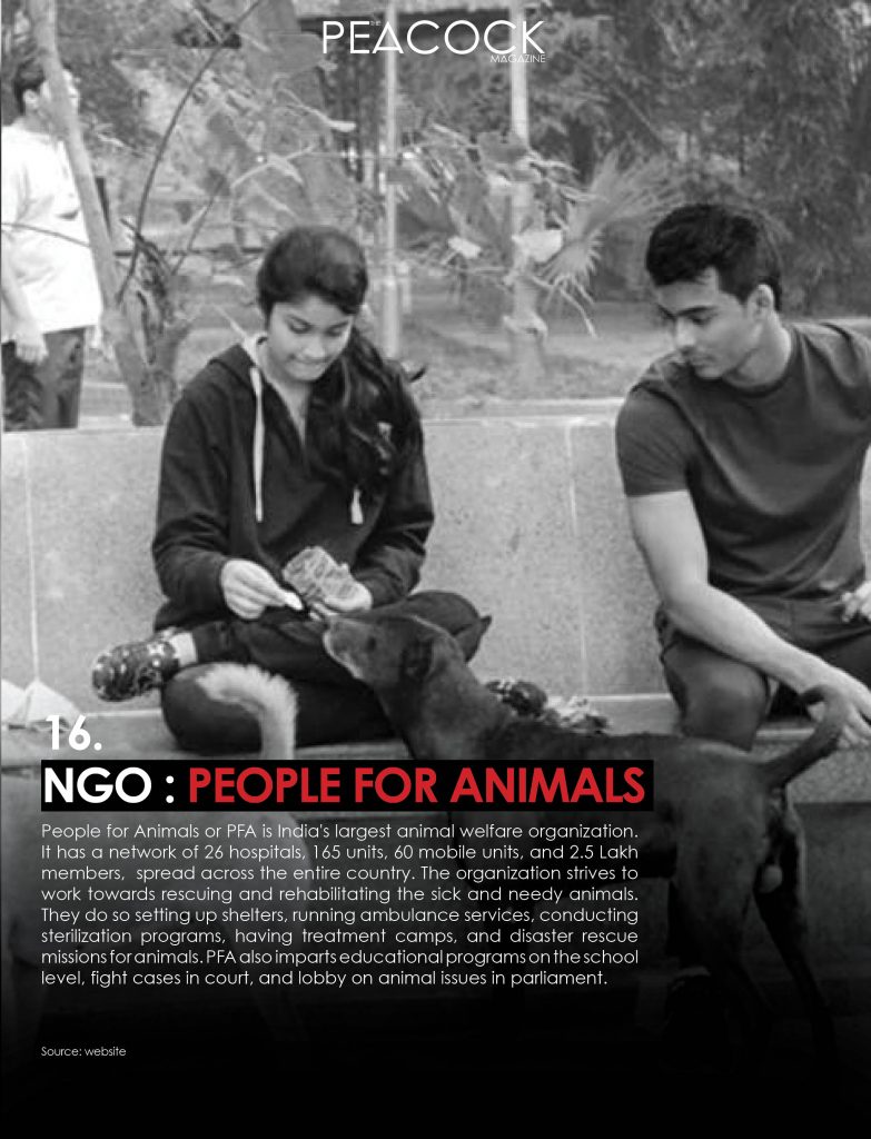 People for Animals