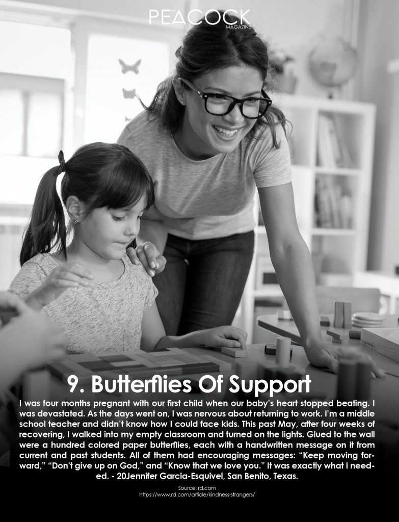 BUTTERFLIES OF SUPPORT